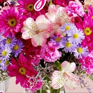 Meet your Posher, Yesenia